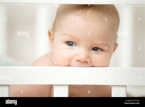 Adorable Baby Biting The Board Of His Wooden Cot Stock Photo Alamy