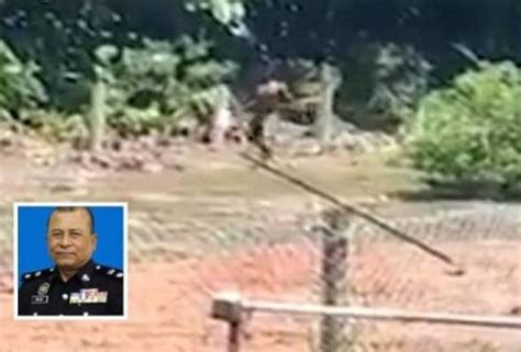 Lelaki Ceroboh Buat Khianat Di Tanah Perkuburan Ditahan Polis Borneo