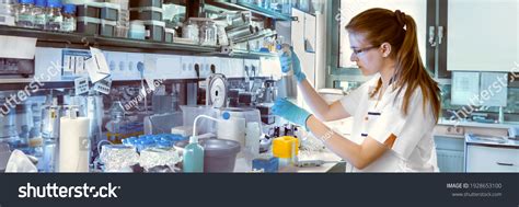 Young Scientist Works Modern Biological Lab Stock Photo 1928653100
