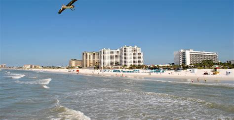 Best Beaches In Tampa — Choice Hotels