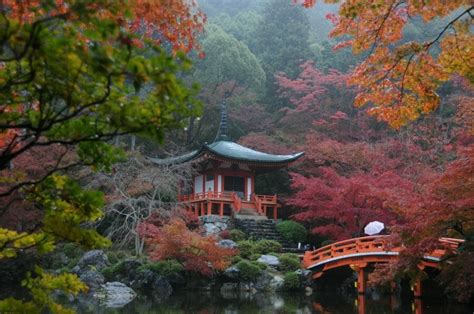 Japanese Gardens & Autumn Colors 2020 | GardenTours.com