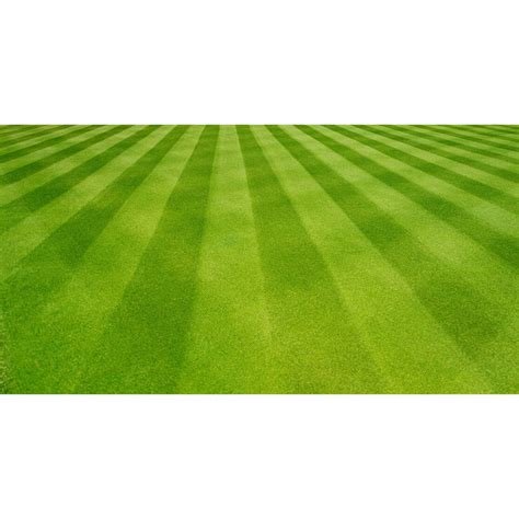 Lawn Striping Kit For 50 54 And 60 Inch Decks 19a70059oem Cub