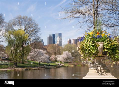 Springtime View Of Central Park From Bow Bridge Nyc Usa Stock Photo