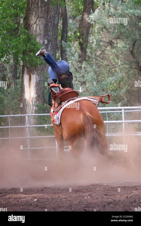 Rider Falling Off Horse Hi Res Stock Photography And Images Alamy