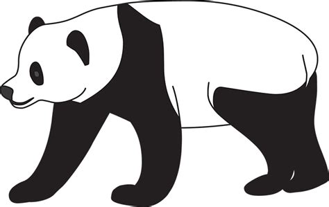Animals Black And White Outline Clipart Walking Panda Bear Black