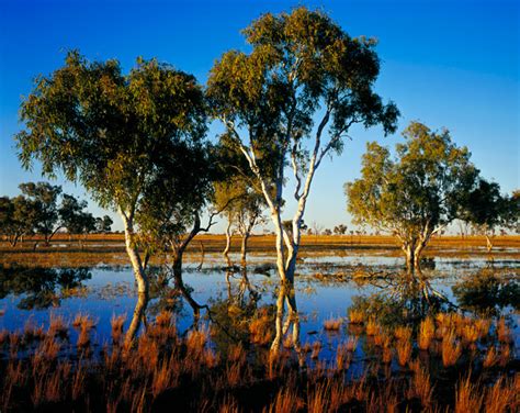 Gallery Australias Desert Landscapes Australian Geographic