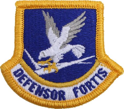 Us Air Force Inspection Ready Defensor Fortis Security Forces Beret