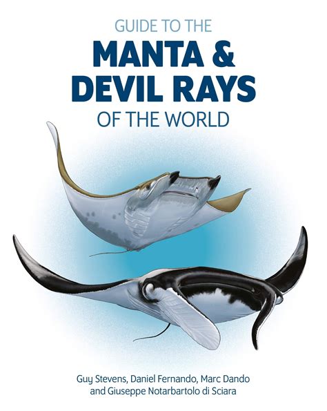 Manta And Devil Ray Species — Manta Trust