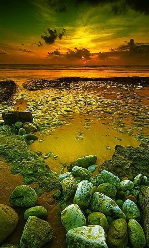 Get high quality free downloadable wallpapers for your mobile device. Grab Hold Of the Suprising Nature Screensavers - Marvelous ...