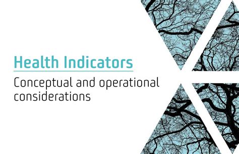 Pahowho Health Indicators Conceptual And Operational Considerations