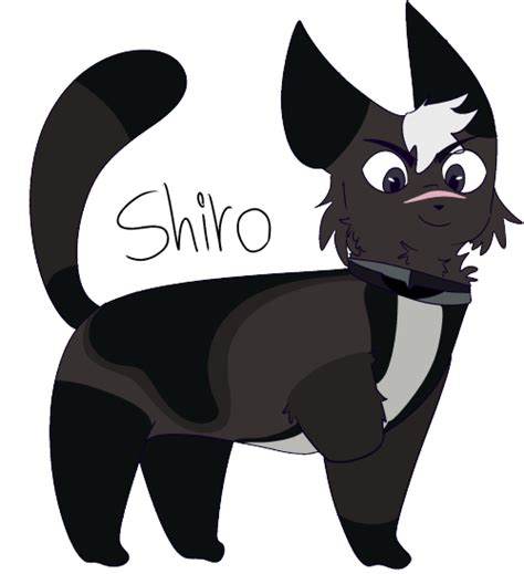 Cat Shiro On Tumblr