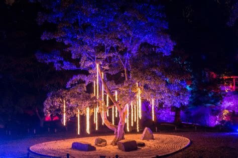 Event Lighting Design Maymont Garden Glow The Lighting And Sound Company