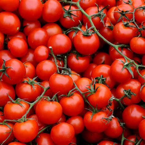Buy Tomato Cherry Baby Seeds J Parkers Dutch Bulbs