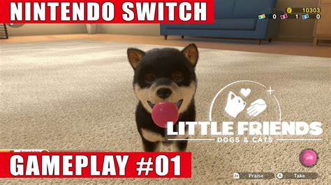 Little Friends Dogs And Cats Nintendo Switch Gameplay 1 Welcome Home