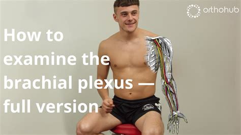 How To Examine The Brachial Plexus Full Version — Watch Orthohub