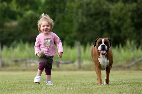 A Dose Of Cuteness Adorable Little Kids And Their Big Dogs