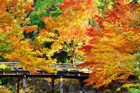 Top 10 Unknown Autumn Destinations In Japan Gaijinpot Travel