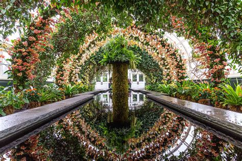 Thousands Of Orchids In Ethereal Displays Are Coming To Nycs New York