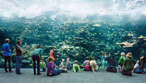 Thomas Struth Explores the Relationship Between Human ...