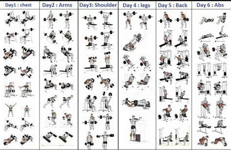 Gym Workout Schedule For Men Pdf Gym Workout Plan Pdf Medicallyinfo Day Workout Routine