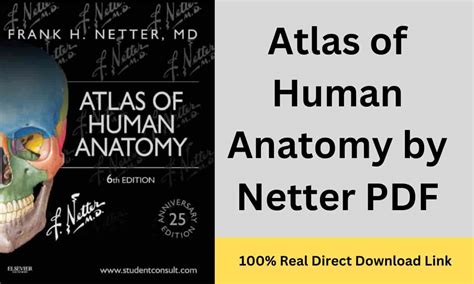 Atlas Of Human Anatomy By Netter Pdf Free Download