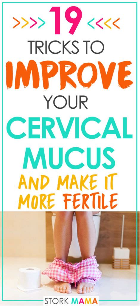 19 Tricks To Improve Your Egg White Cervical Mucus Stork Mama