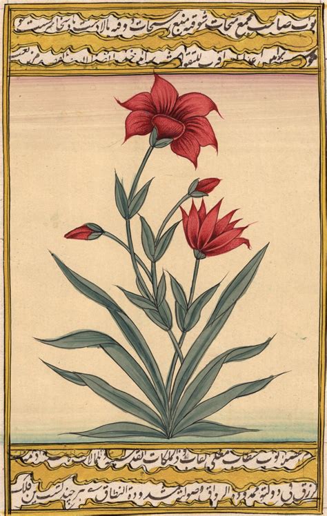 Mughal Flower Miniature Painting Handmade Indian Moghul Decor Tulip