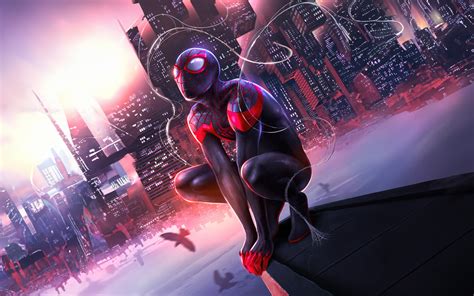 2560x1600 Miles Morales The Ultimate Destiny Of Spider Man Wallpaper