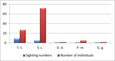 Sighting Numbers And Number Of Individuals By Species Pm Physeter