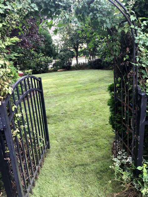 ﻿sod masters is a family owned and operated company providing the best quality of sod to homeowners throughout central florida. Raleigh Sod Project Near Me | Turf Works Sod Lawn ...