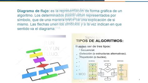 Diferencias Y Similitudes Entre Algoritmo Diagrama De Flujo Y Images