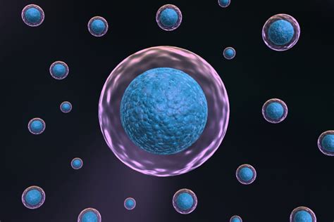 How To Maintain Healthy Stem Cells