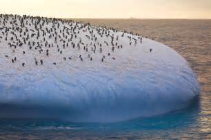 Antarctica Richard Sidey