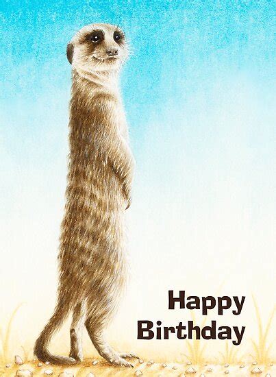 Meerkat Birthday Card By Lorna Mulligan Redbubble