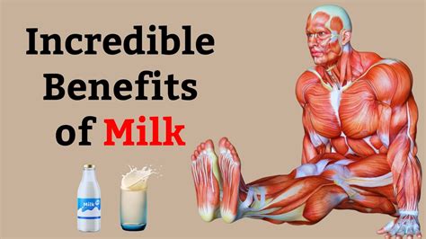 What Happens To Your Body When You Consume Milk Daily Benefits Of Milk Youtube