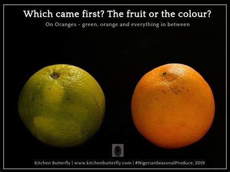 Orange Which Came First The Fruit Or The Colour Kitchen Butterfly