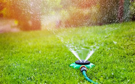 3 Tips For Watering Your Lawn This Summer Lawn Guard
