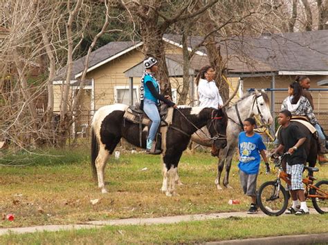 Houston Texas Martin Luther King Jr Trail Ride Parade Janu Flickr