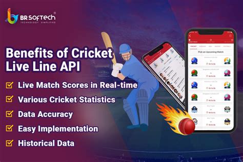 Cricket Live Line Score Api For Ball By Ball Of All Matches Br Softech