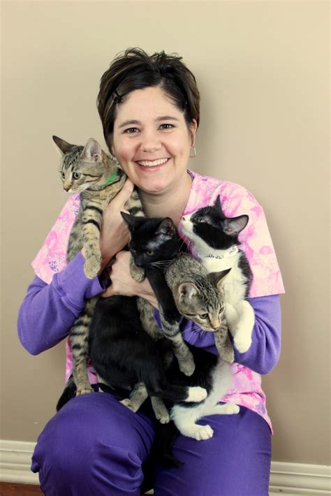 Kitten Vet Packages Beechmont Pet Hospital