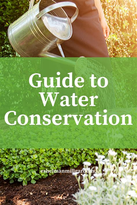 The garden is touted for its ms. Water Conservation | Water conservation, Drought resistant ...