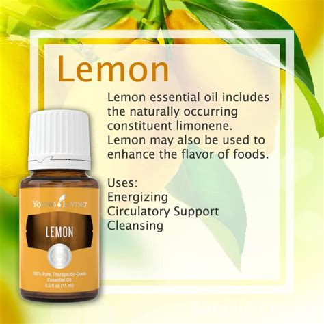 Young Living Lemon Oil Young Living Essential Oils 15ml Oil Etsy