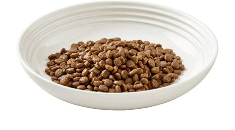 Weruva classic cat food, paw lickin? Chicken Cat Food Kibble | Dry Cat Food | Encore Pet Food