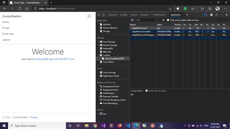 How To Cookie Authentication In Asp Net Core Mvc