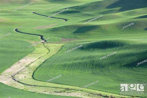 Steptoe Butte Landscapes Stock Photo Picture And Rights Managed Image
