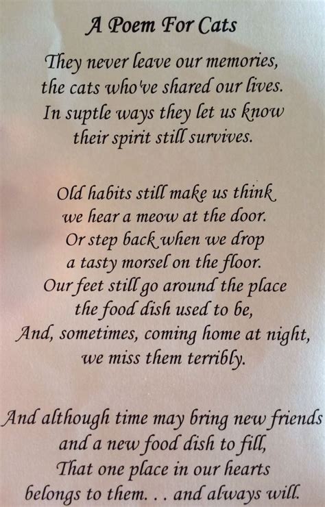 death of a cat poem - Google Search | Cat poems, Pet remembrance