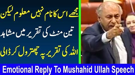 Pti Leader Blasting Reply To Mushahid Ullah Khan Speech In Senate Pti