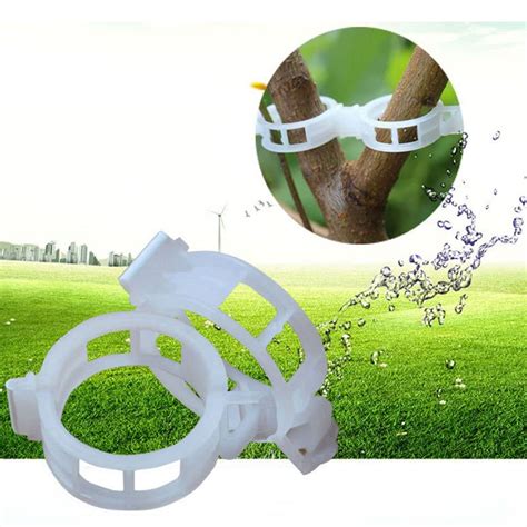 50pcs Plant Clips Supports Reusable Plastic Connects Fixing Vine Tomato