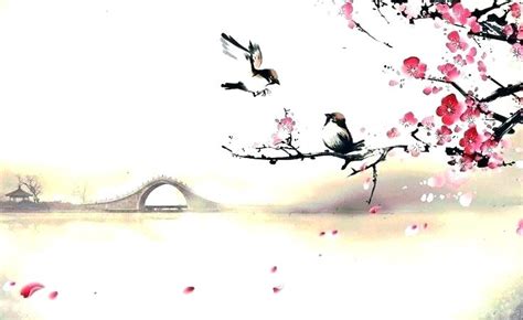Cherry Blossom Drawing Wallpaper At
