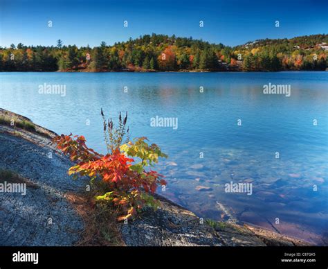 Beautiful Fall Nature Scenery Of Acid Lake At Killarney Provincial Park